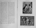 Original Old Antique Print 1908 Photograph Hound Dogs Hunting Sport 20th