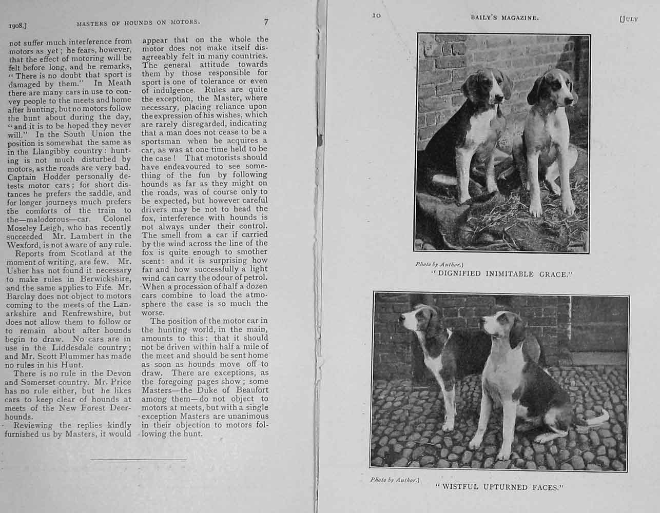 Original Old Antique Print 1908 Photograph Hound Dogs Hunting Sport 20th