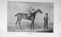 Original Old Antique Print 1908 Portrait Eleanor Jockey Horse Sport 20th