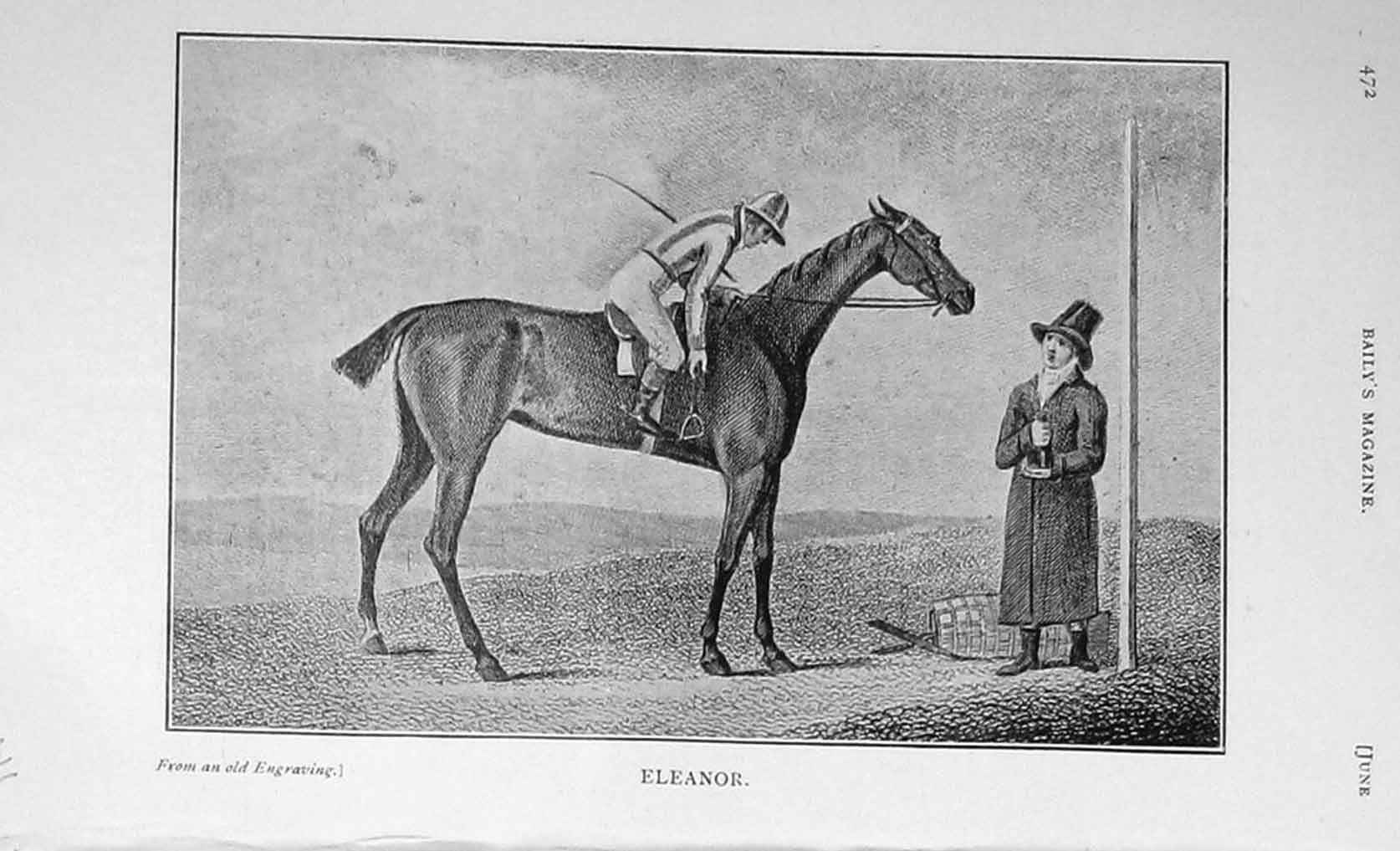 Original Old Antique Print 1908 Portrait Eleanor Jockey Horse Sport 20th