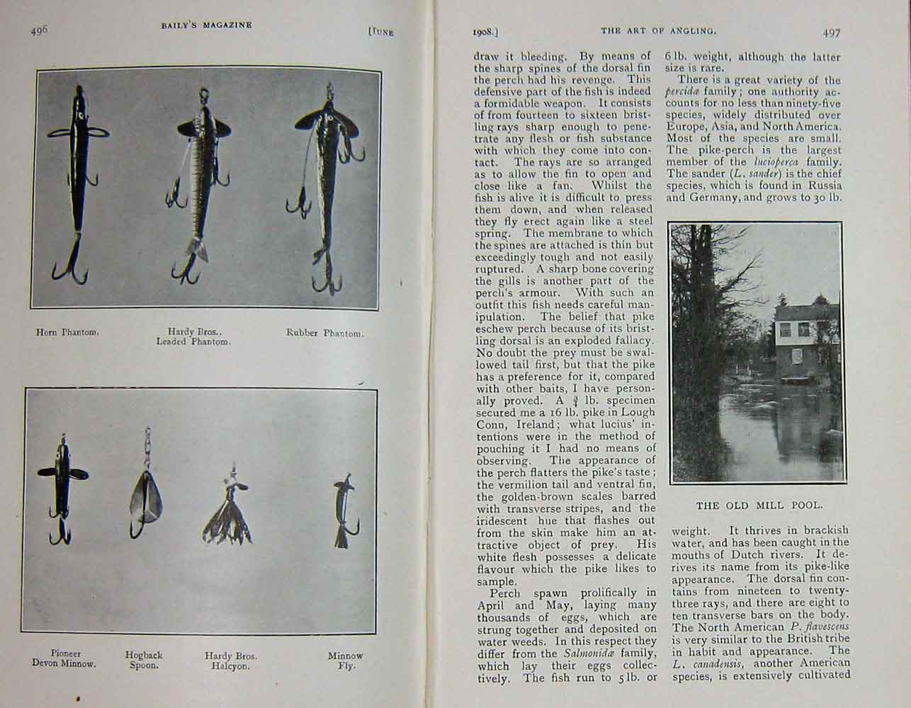 Old Antique Print 1908 Angling Fishing Perch River Flies Mill Pool Minnow 20th