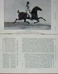 Original Old Antique Print 1908 Portrait Gay Lass Horse Jockey Sport 20th