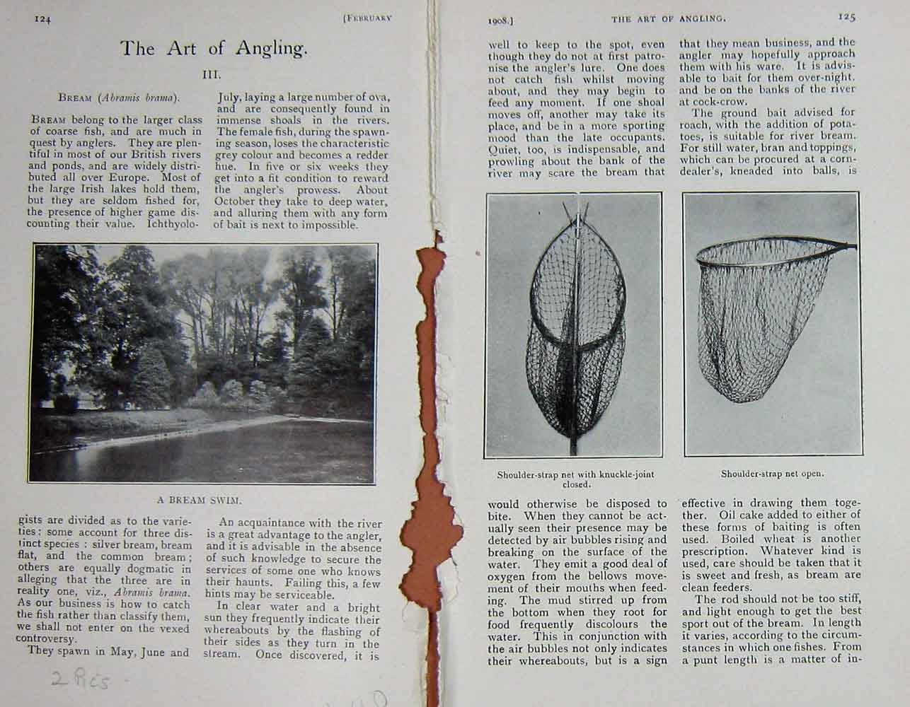 Original Old Antique Print 1908 Photograph Angling Fishing Bream River Net 20th