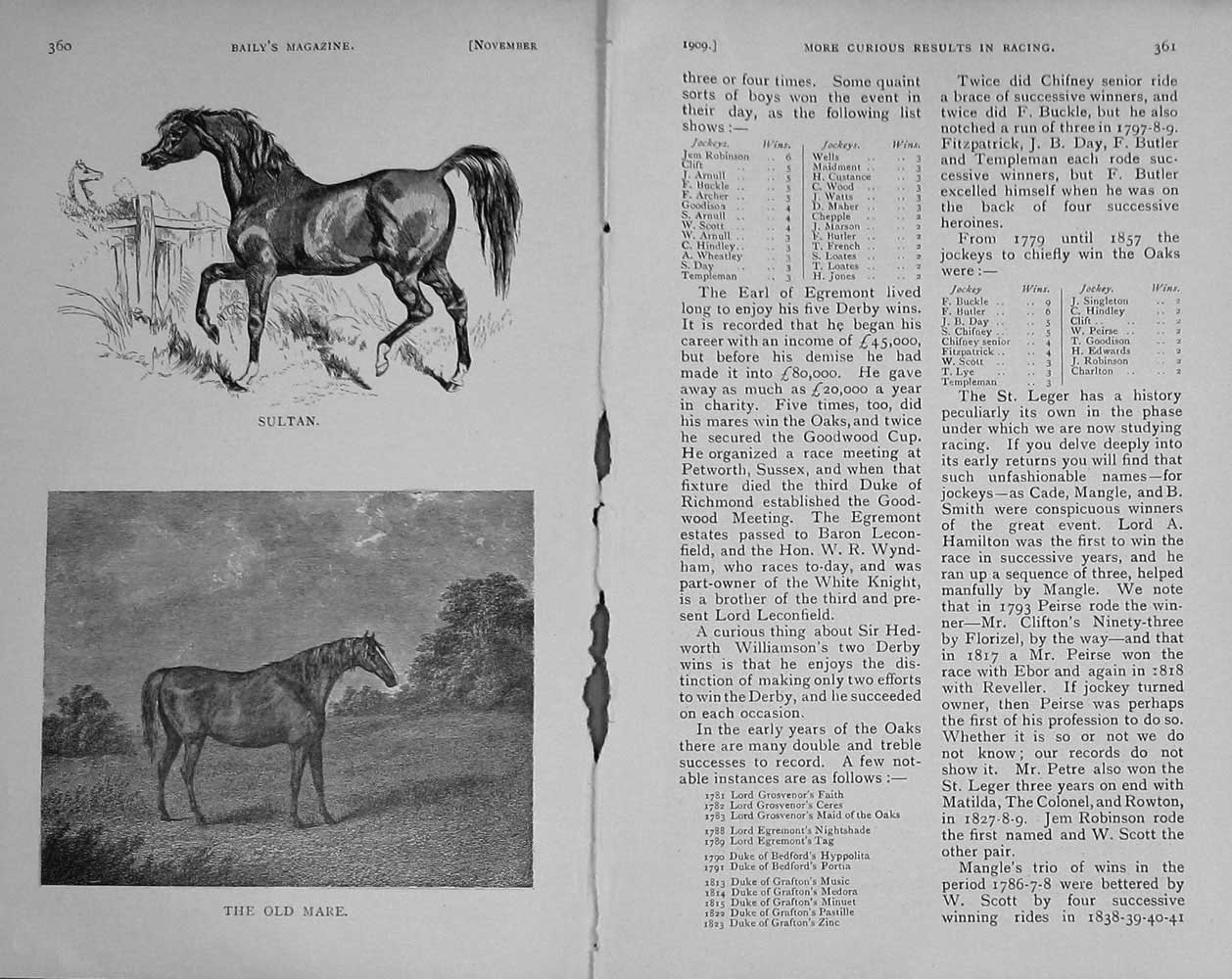 Original Old Antique Print 1909 Portrait Sultan Mare Horse Sport 20th Century