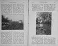 Old Antique Print 1909 Fishing Angling Grayling River Meadow Reach Sport 20th