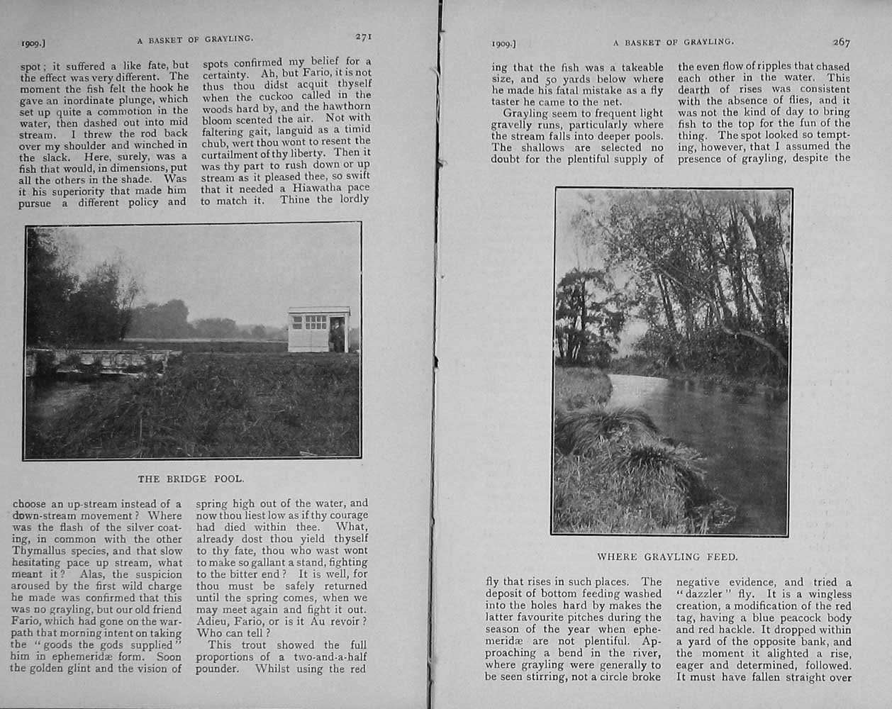 Old Antique Print 1909 Fishing Angling Grayling River Meadow Reach Sport 20th