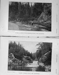 Old Antique Print 1909 Angling Fishing Ievogla Falls Brunswick Miramichi 20th