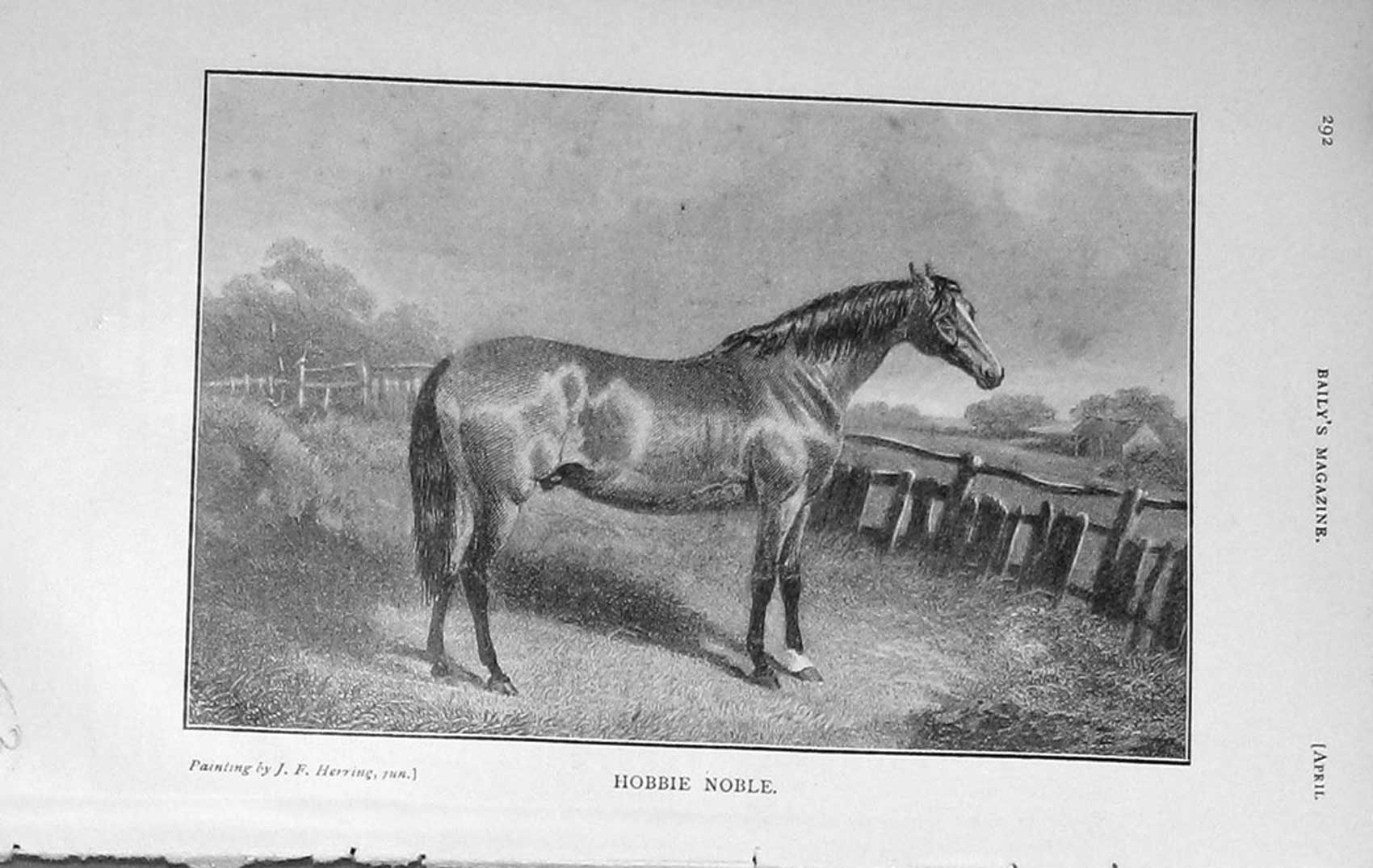 Original Old Antique Print 1909 Portrait Hobbie Noble Sport Horse 20th Century