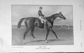 Original Old Antique Print 1909 Portrait Lord Lyon Winner Derby Horse Race 20th