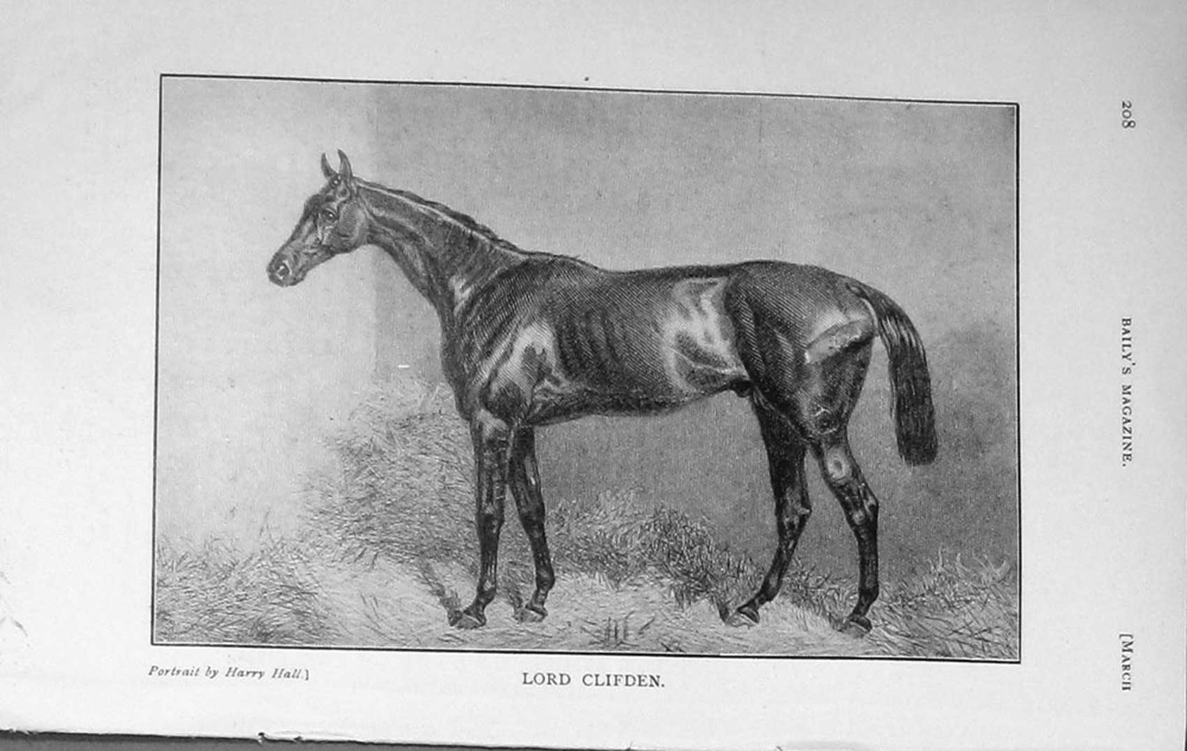 Original Old Antique Print 1909 Portrait Lord Clifden Horse Stable Sport 20th
