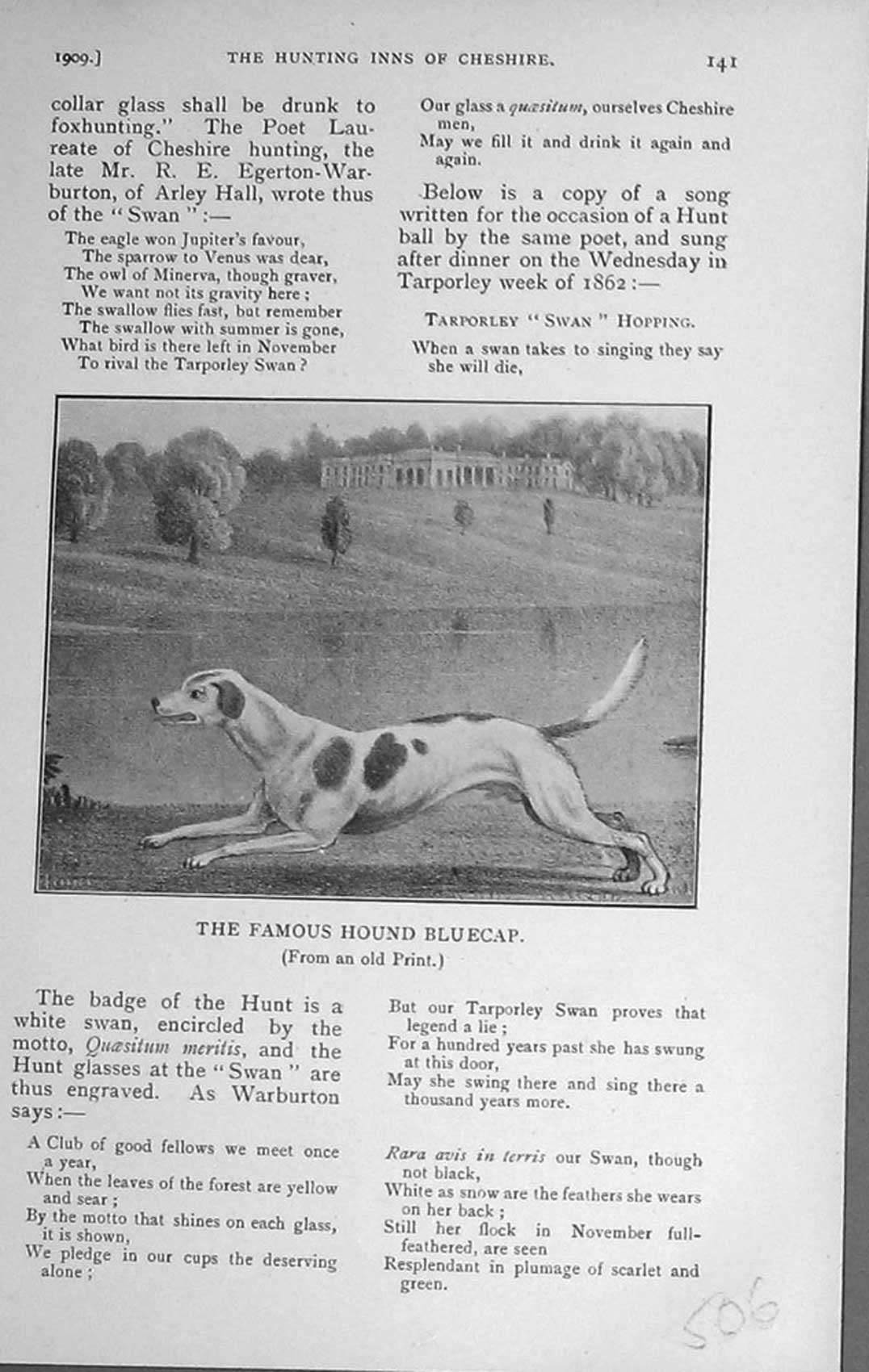 Original Old Antique Print 1909 Portrait Famous Hound Dog Bluecap Sport 20th