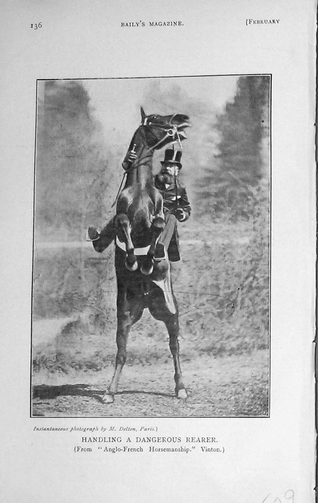 Original Old Antique Print 1909 Photograph Rearing Horse Horsemanship 20th