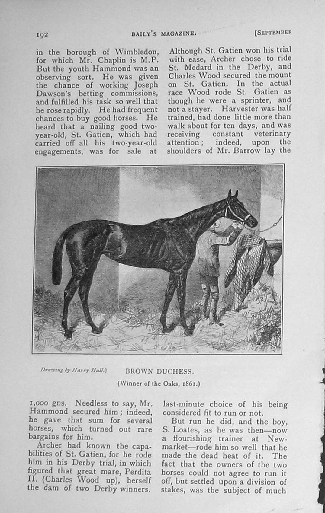 Original Old Antique Print 1910 Sport Horse Brown Duchess Oaks 20th Century