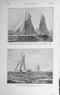 Old Antique Print 1910 Yachts Racing Valkyrie Ailsa Torpid Thought Sport 20th