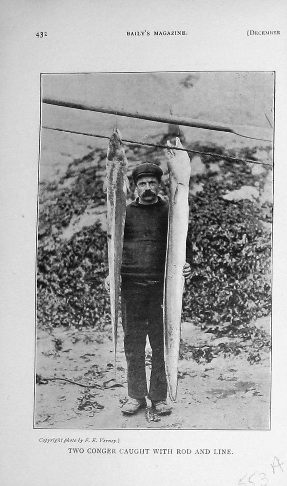 Original Old Antique Print 1910 Photograph Man Fish Conger Rod Line Sport 20th