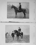 Original Old Antique Print 1910 Mr Stokes Hunter Horse Zealot Drage Kelly Sport