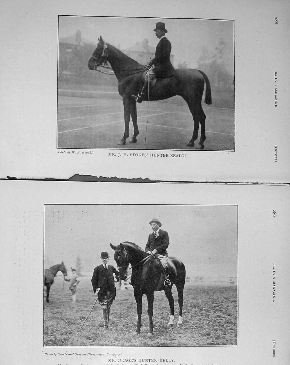 Original Old Antique Print 1910 Mr Stokes Hunter Horse Zealot Drage Kelly Sport