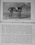 Original Old Antique Print 1910 Portrait Blacklock Horse Jockey Watts 20th