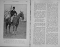 Old Antique Print 1910 Portrait Hon. James Tomkinson Horse Hunting Sport 20th