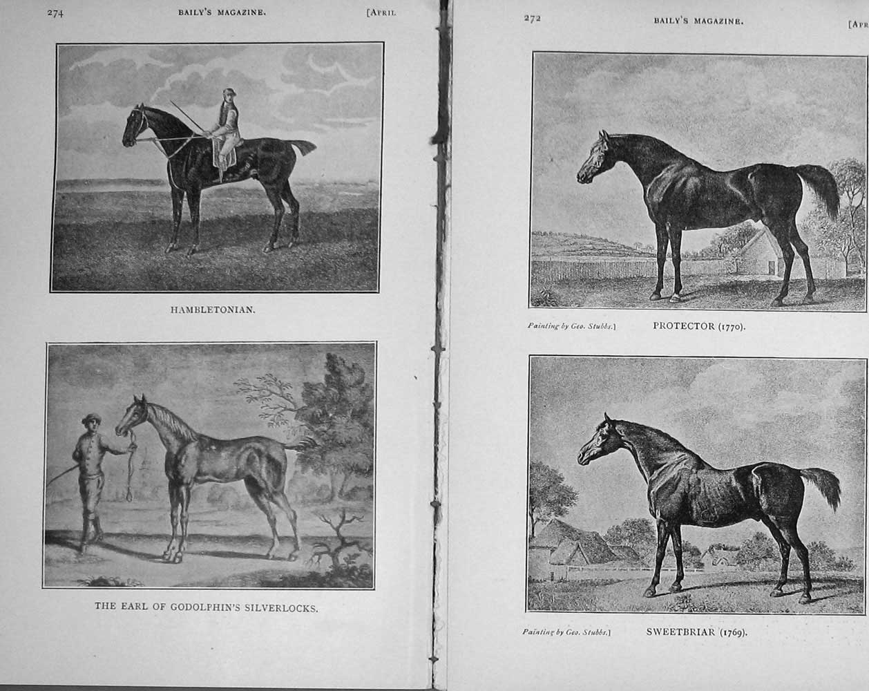 Original Old Antique Print 1910 Horses Protector Sweetbriar Silverlocks Sport