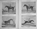 Original Old Antique Print 1910 Charles Bunbury Gfinger Horse Tortoise Pilgrim