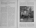 Old Antique Print 1910 Photograph William Inman Dandy White Horse Sport 20th
