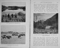 Original Old Antique Print 1911 Sport Rocky Mountains Buffaloes Duck Shooting