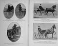 Original Old Antique Print 1911 Royal Horse Show Harriet Hackney Harness Sport