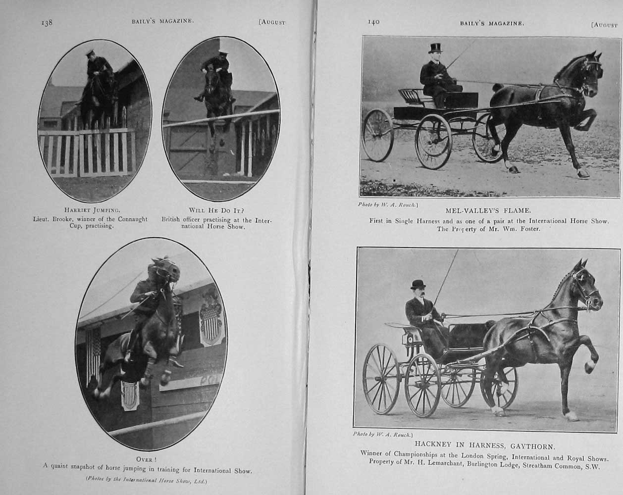 Original Old Antique Print 1911 Royal Horse Show Harriet Hackney Harness Sport