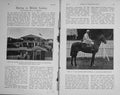 Original Old Antique Print 1911 Horse Racing Guiana D'Urban Demerara Ben Bubble