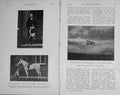 Original Old Antique Print 1911 King Edward Hunting Costume Horse Flight White