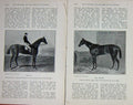 Original Old Antique Print 1911 Goodwood Horse Racing Cup Priam Tromp Vauban