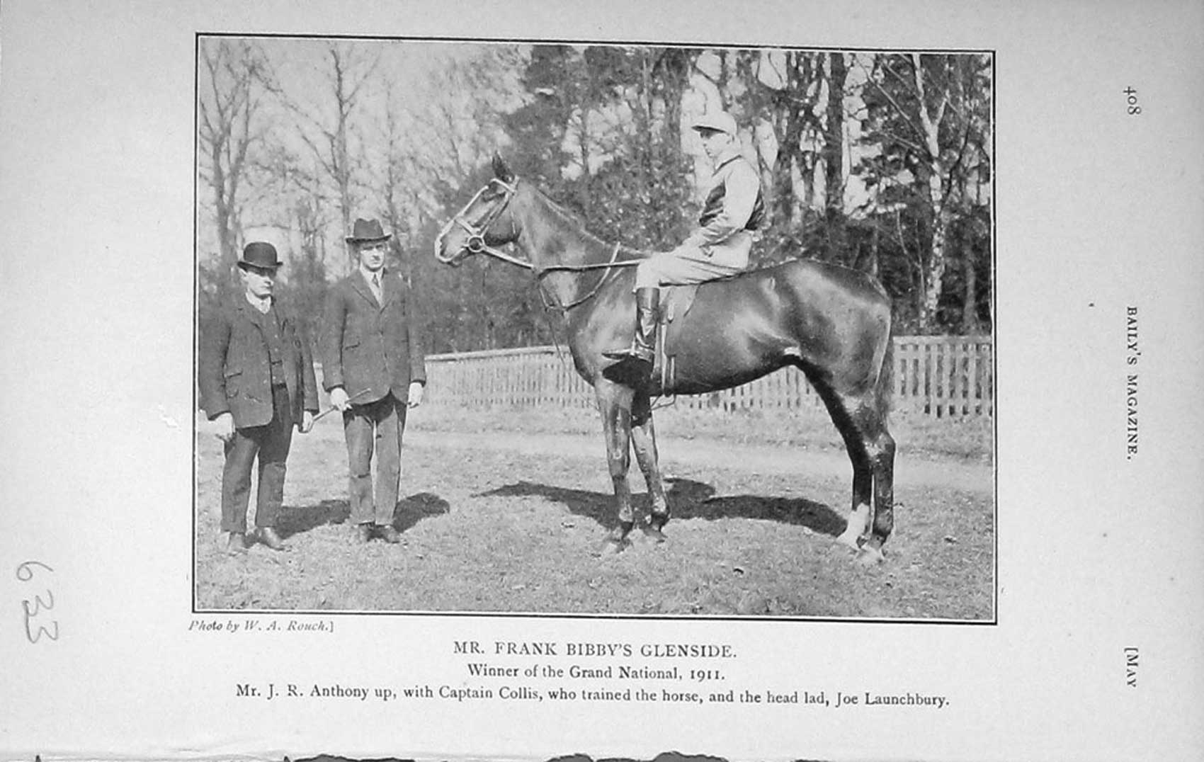 Original Old Antique Print 1911 Photograph Frank Bibby Glenside Horse 20th