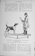 Original Old Antique Print 1911 Mr Fothergill Peterborough Hunting Hound Dog