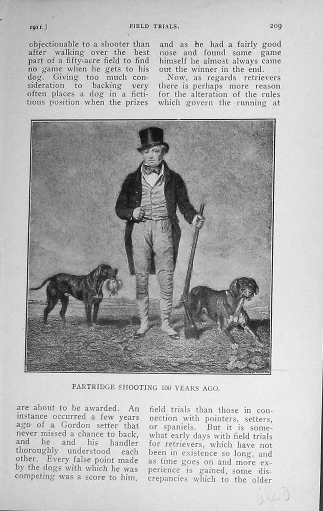 Original Old Antique Print 1911 Partridge Shooting Hunting Dogs 20th Century