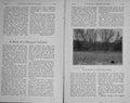 Original Old Antique Print 1911 Photograph Duck Hunting Shooting Sport 20th