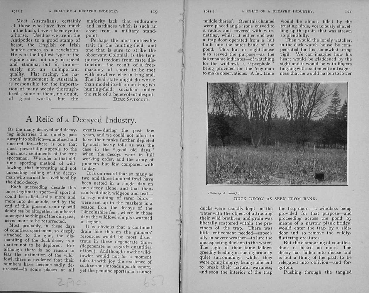 Original Old Antique Print 1911 Photograph Duck Hunting Shooting Sport 20th