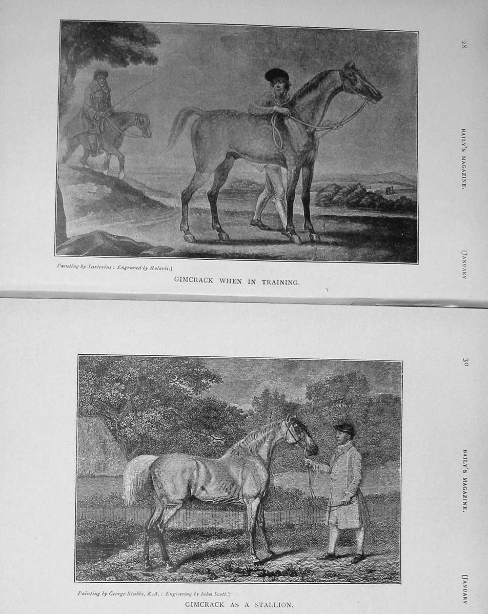 Original Old Antique Print 1911 Gimcrack Horse Sport Stallion 20th Century