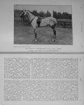 Original Old Antique Print 1912 Photograph Duke Westminster Polo Horse Sprite