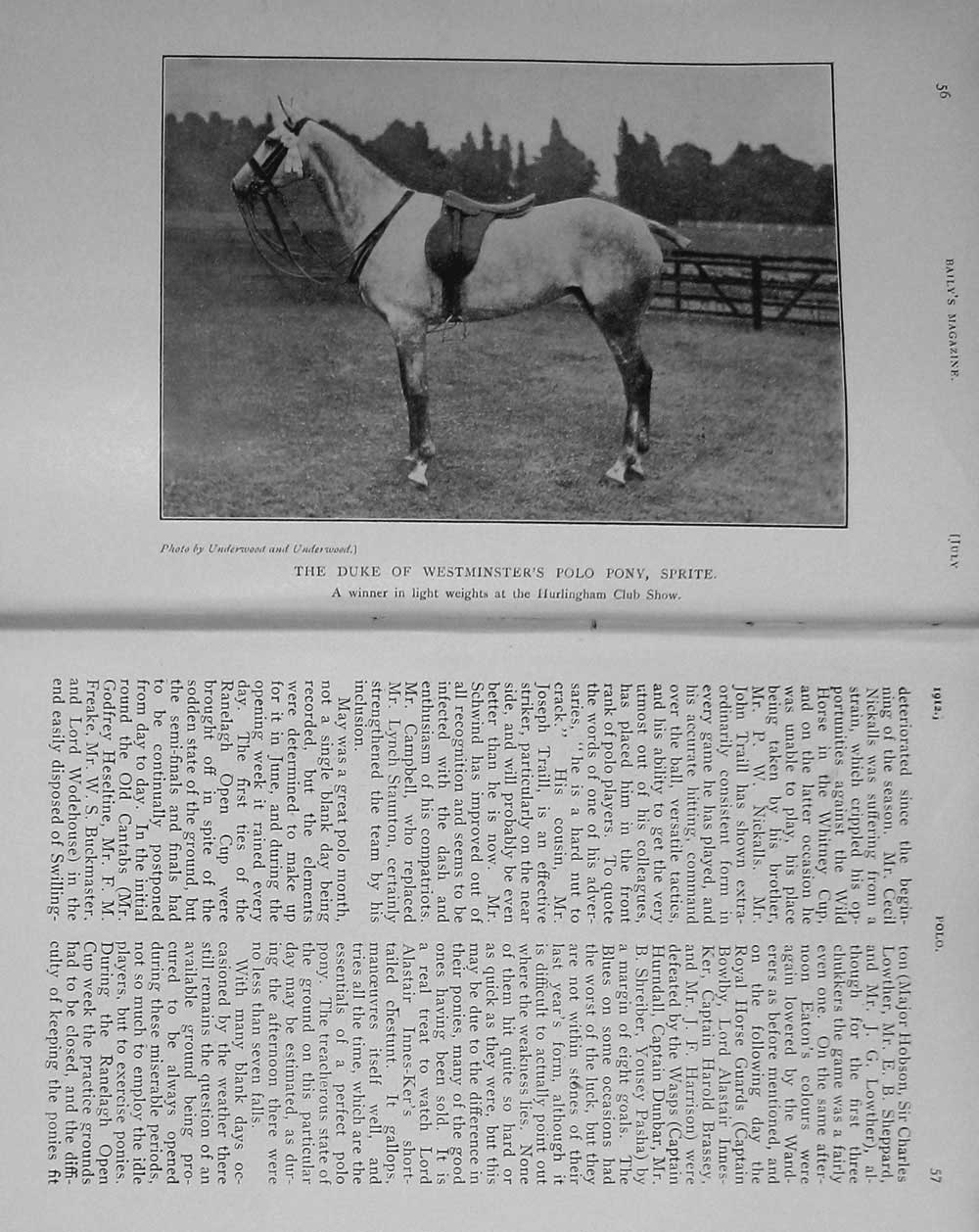 Original Old Antique Print 1912 Photograph Duke Westminster Polo Horse Sprite