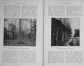 Original Old Antique Print 1912 Photograph Woods Trees Timber Hunting Pheasants