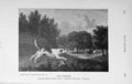 Original Old Antique Print 1913 Harrier Hound Dog Hunting Country 20th Century
