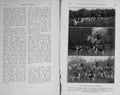 Original Old Antique Print 1913 Photograph Duhallow Foxhounds Hunting Horses