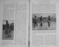 Old Antique Print 1913 Photograph Zambesi Baboon Monkey Natives Hunting 20th