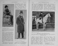 Old Antique Print 1913 Portrait Naylor Hawley Sykes Rous Fordham Cannon 20th