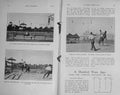 Original Old Antique Print 1913 Photograph Buck Jumping Horses Sport 20th