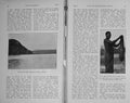 Original Old Antique Print 1913 Photograph Zambesi River Anteater Feira 20th