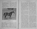 Original Old Antique Print 1913 Horse Doncaster Derby Race Bend Or 20th Century