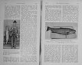 Old Antique Print 1913 Fishing Prince Connaught Arthur Loch Leven Trout 20th