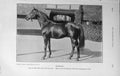 Original Old Antique Print 1914 Photograph Radium Bend Or Southcourt 20th